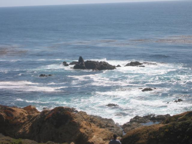 2004/06 June/Monterey Big Sur/640x480_IMG_0879.JPG